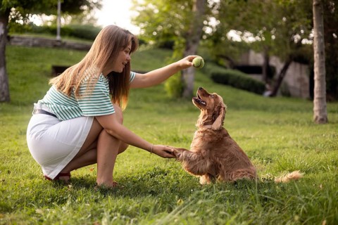Woman holding a ball while a dog eagerly reaches up, setting a playful scene