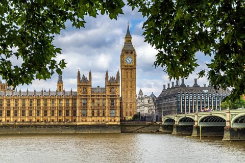 Green foliage frames a riverside view of Elizabeth Tower and the Palace of Westminster across the