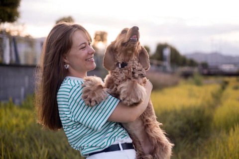 A woman lifting her dog Cocker Spaniel in a sunny field, displaying joy