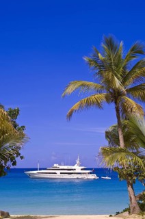 Yacht at Long Beach, yacht, boat, beach, palm trees, (Baie Longue) St Martin, St Maarten,