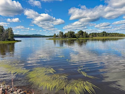 Tranquil seascape with reflecting sky and clouds surrounded by lush vegetation, Lake Siljan, Mora,