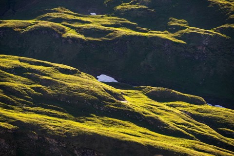 Evening light on the meadows of an alpine pasture in the Hohe Tauern National Park, mountains,