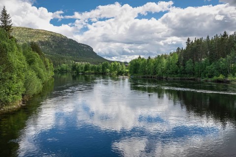 Cloud reflection in the River Glomma (Glåma), Alvdal, Hedmark, Innlandet, Norway, June 2026