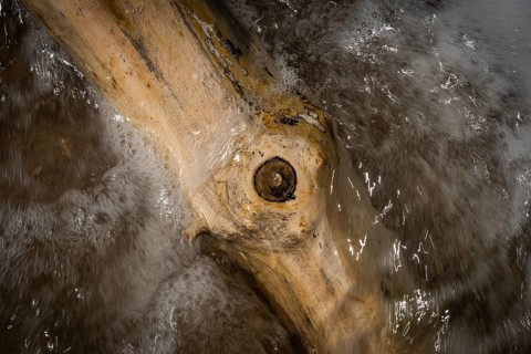 Piece of driftwood washed by surf, Houvig Beach, North Sea, Denmark