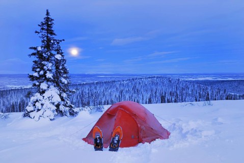Bivouac, tent in snow, Stubba Nature Reserve, Laponia World Heritage Site, Lapland, Norrbotten,