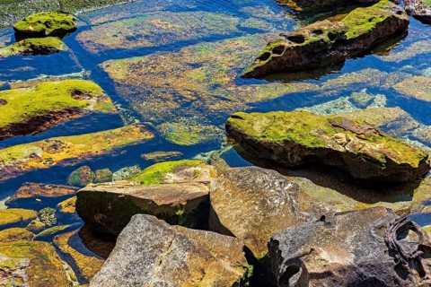 Brightly coloured rocks and clear water in a vibrant tide pool scene with the textures and colours