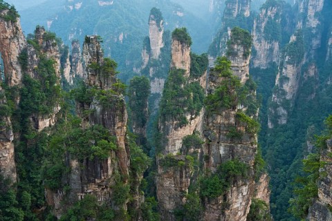 Panoramic view of the quartz sandstone pillars of the Tianzi Mountains in Zhangjiajie National