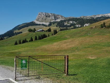 A gate with a warning sign for suckler cows at the entrance to an extensive meadow landscape with a
