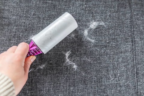 Lint roller cleaning pet hair from furniture upholstery