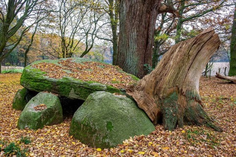 Grosssteingrab Visbek, Oldenburger Münsterland, Visbek, Lower Saxony, Germany