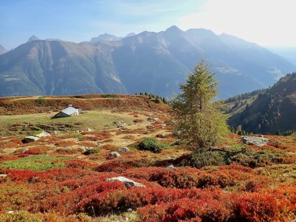 Hut on mountain plateau in an autumnal setting with a peaceful natural background, Fiescheralp,