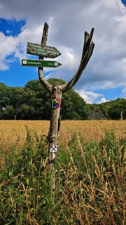 A wooden signpost stands in a grassy field under a partly cloudy sky, hiking on the Rennsteig near