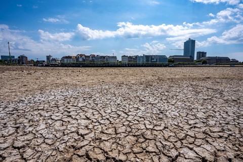 Dried riverbed, brittle floes, extreme low water, Rhine level at 41 cm, downward trend, freighters