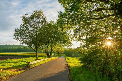 Bad Rehburg, Nienburg Weser, Lower Saxony