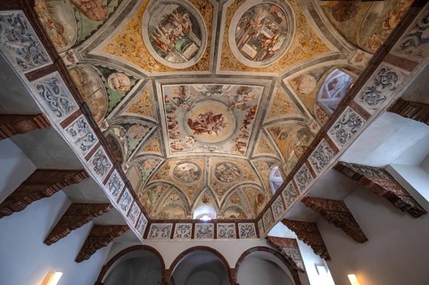 Ceiling frescoes by Hans Bocksberger the Elder from 1543, with Protestant pictorial program Castle