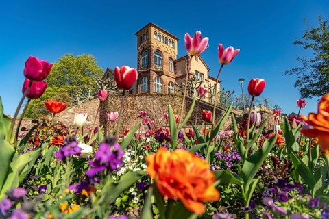 Worms, Rhineland-Palatinate, Germany