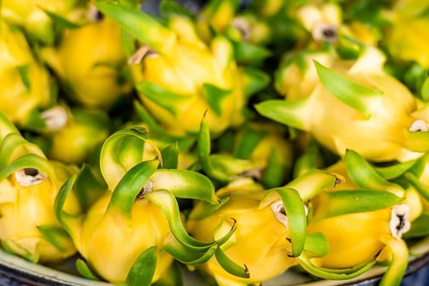 A close-up of yellow dragon fruit with green leaves. The fruits are arranged in a bowl, showcasing