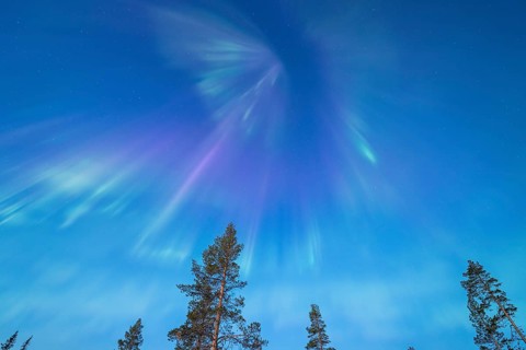 Northern Lights (Aurora borealis), Gällivare, Norrbotten, Lapland, Sweden, April 2025