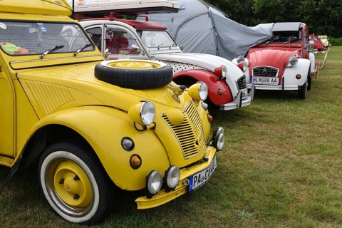 Three classic Citroën 2CV cars are standing side by side in a meadow, vintage Citroën 2CV6 cars at
