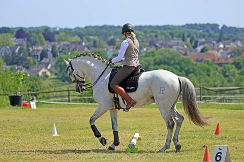 Anja Ötting, Working Equitation, Leverkusen, North Rhine-Westphalia, Germany