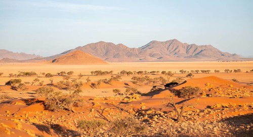 Sand dunes, landscape in the NamibRand nature reserve, in the background Naukluft Mountains, Namib