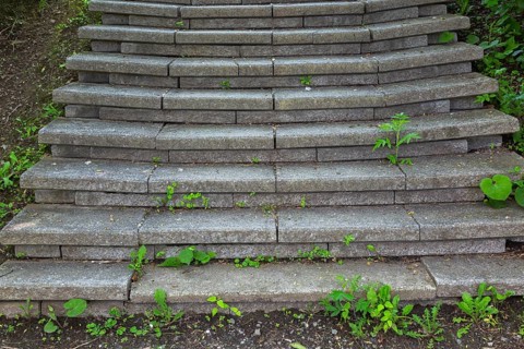 Grey manufactured stone steps overgrown with undesirable mixed plants and weeds including Taraxacum