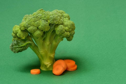 Broccoli and carrot slices, Brassica oleracea var. italica