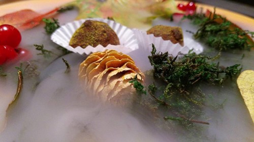 Cone, truffles, moss and berries in the fog, haute cuisine, An artistic gourmet dish with a smoky
