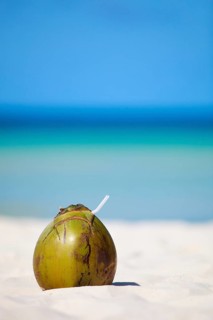 A fresh coconut with straw is lying on Boracay beach, Asia, Philippines, Boracay island, palm