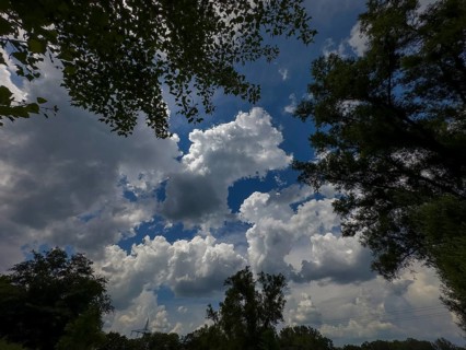 Accumulation of Cumulus cluster clouds, cumulus clouds, fair weather clouds against a blue sky