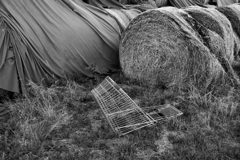 Shopping cart, discarded, carelessly thrown away, in field, straw bales, stored in field,