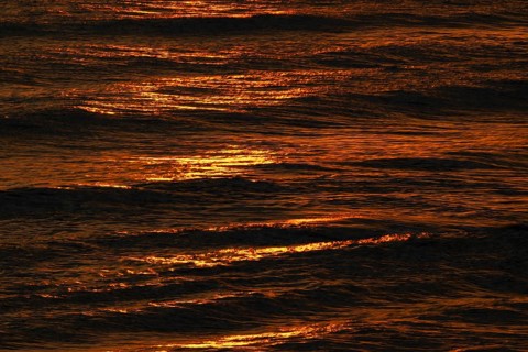 Setting sun colors the sea and small waves golden, Houvig Beach, North Sea, Denmark