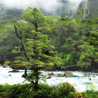 Hollyford River, Fjordland National Park, World Heritage Site South West New Zealand, West Coast,