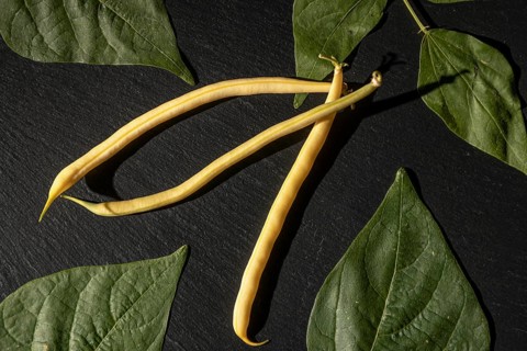 Yellow beans on dark background with leaves