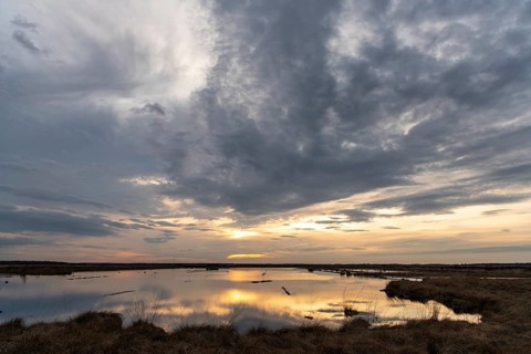 Evening sky over Goldenstedter Moor, Goldenstedt, Lower Saxony, Germany