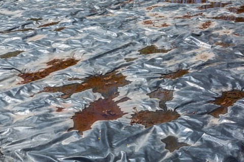 Vegetable garden plot covered with blackish silver heavy duty polyester tarpaulin sheet to protect