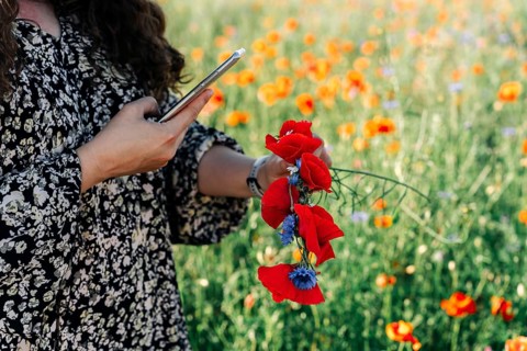 A woman plus size photographs using a phone wreath of wildflowers: red poppies (Papaver rhoeas) and