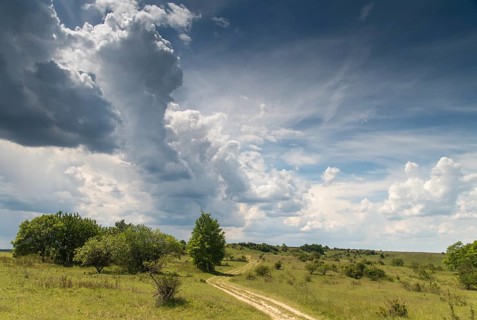 Germany, Nabu, natural heritage, Thuringia, wind knobs, cultivated landscape, landscape, landscape,