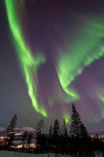 Northern Lights (Aurora borealis), Gällivare, Norrbotten, Lapland, Sweden, December 2024
