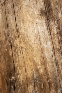 Close-up of a textured wooden surface with natural patterns and grain. The wood appears aged with a