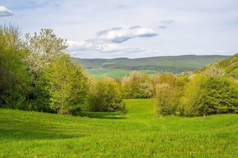 View over the hills with forests and meadows with blooming cherry trees on a sunny day in spring,