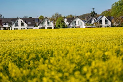Residential development, residential area, single-family houses, in the south of Essen, living in