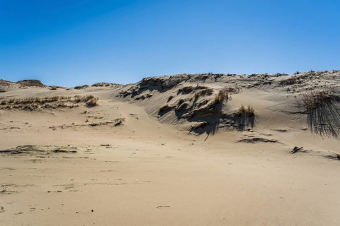The Gray Dunes, or the Dead Dunes is sandy hills with a bit of green specks at the Lithuanian side