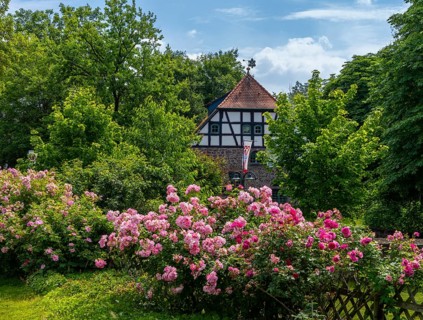 Historic half-timbered houses in the old town of Dreieichenhain, Hesse, Germany