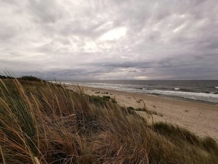 Marram Grass in the foreground on a stormy beach with cloudy sky, autumn on the Baltic Sea near