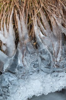 Ice formations on a stream, Dundret Nature Reserve, Gällivare, Norrbotten, Lapland, Sweden, October