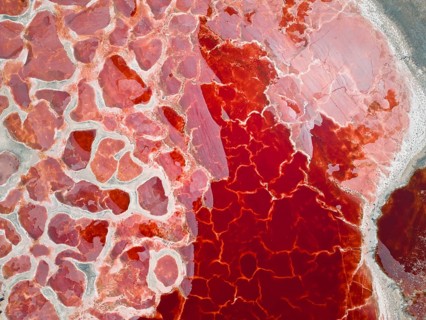 Aerial view of Ulan Lake, the ‘Red Lake', caused by microorganisms and algae such as Dunaliella
