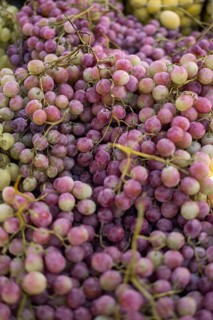 Dense cluster of ripe purple grapes