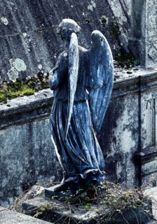 Cemitério da Lapa, Lapa Cemetery, European Cemetery Route, Association of Significant Cemeteries of