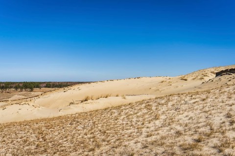 The Gray Dunes, or the Dead Dunes is sandy hills with a bit of green specks at the Lithuanian side
